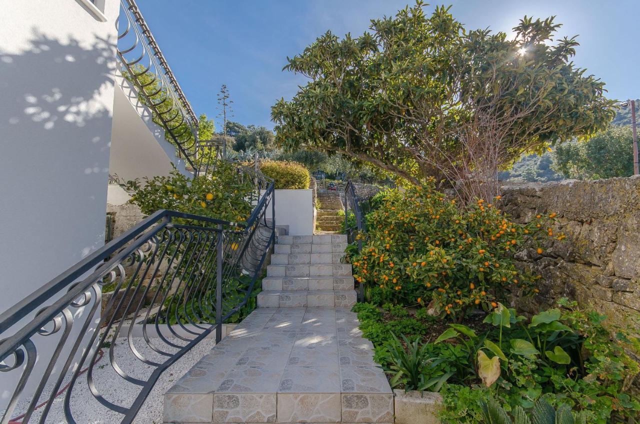 Apartments Ivanka فيس المظهر الخارجي الصورة